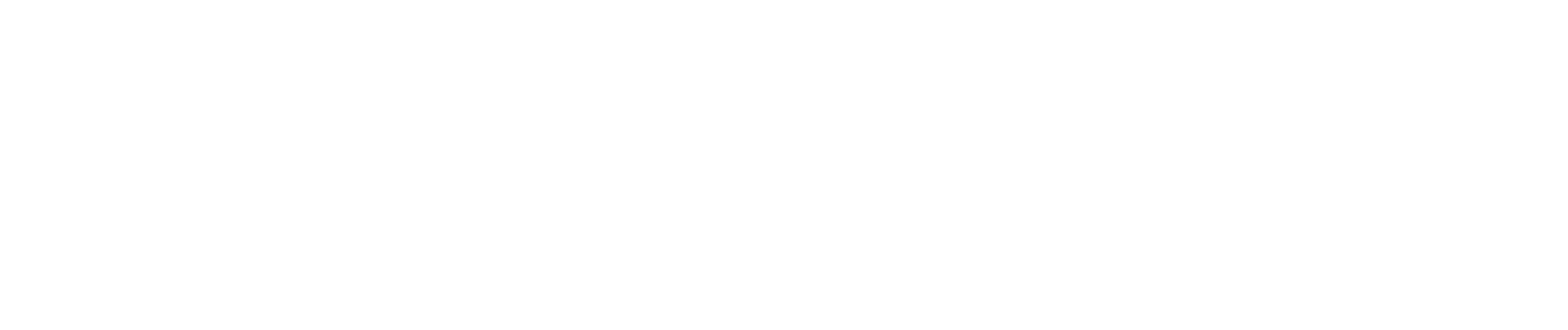 Efisense